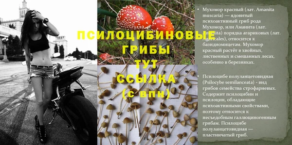 таблы Заводоуковск