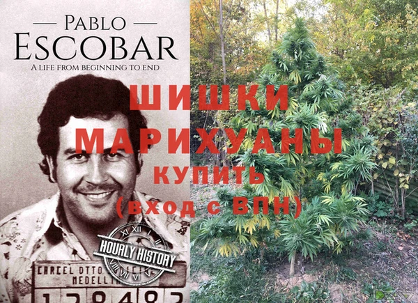 таблы Заводоуковск