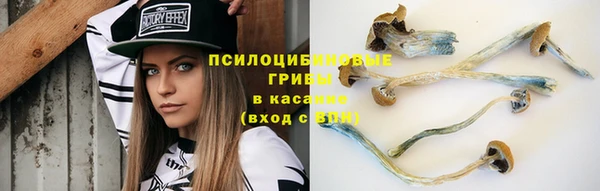 мдпв Заволжск
