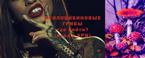 мдпв Заволжск