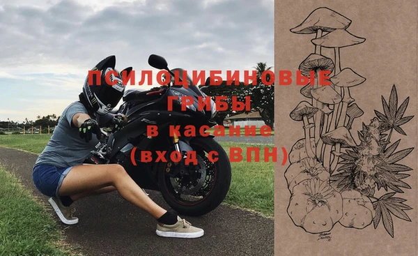 мдпв Заволжск