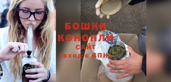 крисы Тында