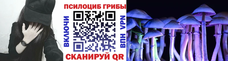 Купить закладки  Нефтегорск  Псилоцибиновые грибы MAGIC MUSHROOMS 